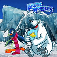 Arctic Wonders – Habanero
