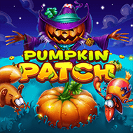 Pumpkin Patch – Habanero