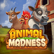 Animal Madness – Play'n GO