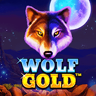 Wolf Gold – Pragmatic Play