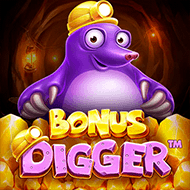 Bonus Digger – Skywind